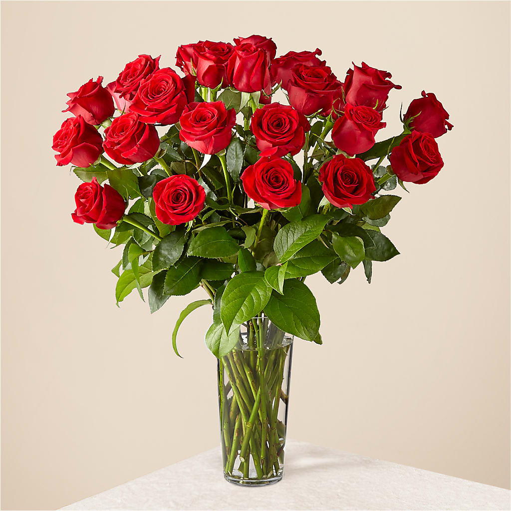 Long Stem Red Rose Bouquet – MCKNIGHT'S FLOWERSHOPPE INC., Peterborough ON
