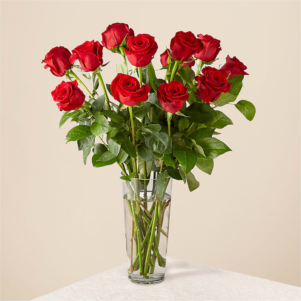 Long Stem Red Rose Bouquet – MCKNIGHT'S FLOWERSHOPPE INC., Peterborough ON