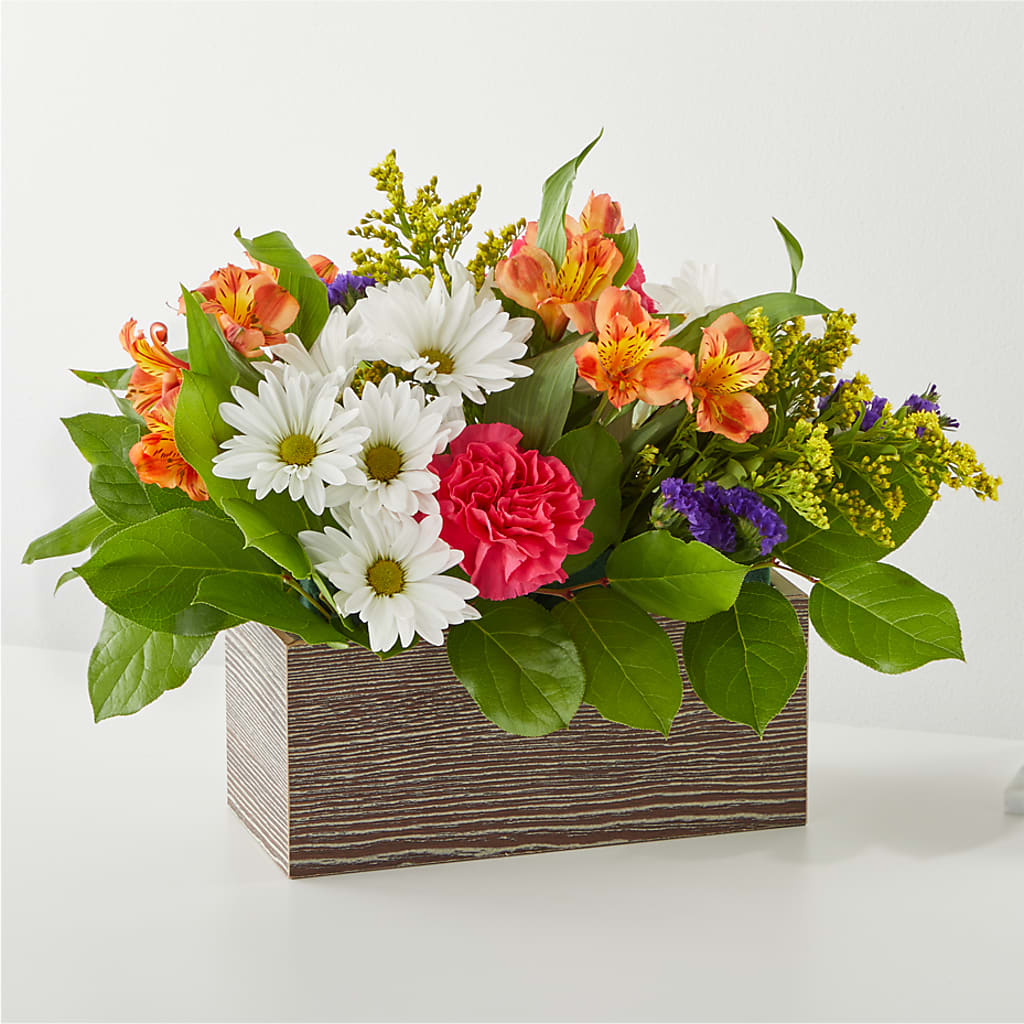 Oopsie Daisy Box Bouquet – MCKNIGHT'S FLOWERSHOPPE INC., Peterborough ON