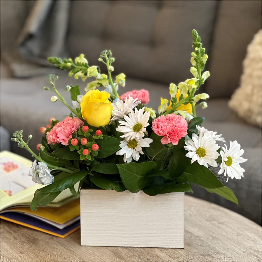 Sun Salutation Box Bouquet – MCKNIGHT'S FLOWERSHOPPE INC., Peterborough ON