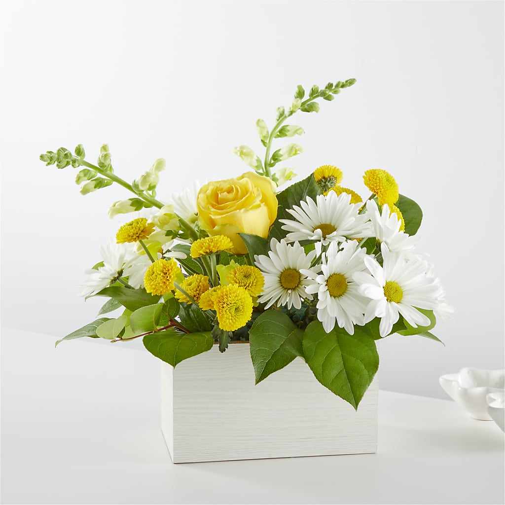 Sun Salutation Box Bouquet – MCKNIGHT'S FLOWERSHOPPE INC., Peterborough ON