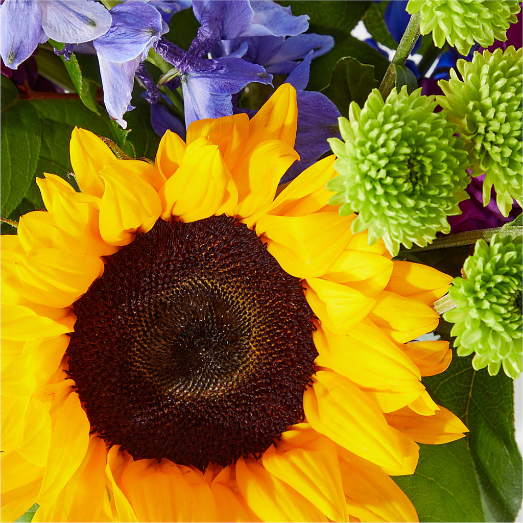 Catching Rays Bouquet – MCKNIGHT'S FLOWERSHOPPE INC., Peterborough ON