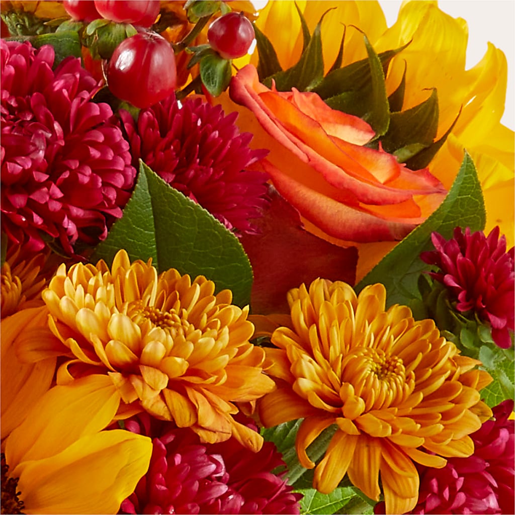 Sweater Season - A Florist Original – MCKNIGHT'S FLOWERSHOPPE INC., Peterborough ON