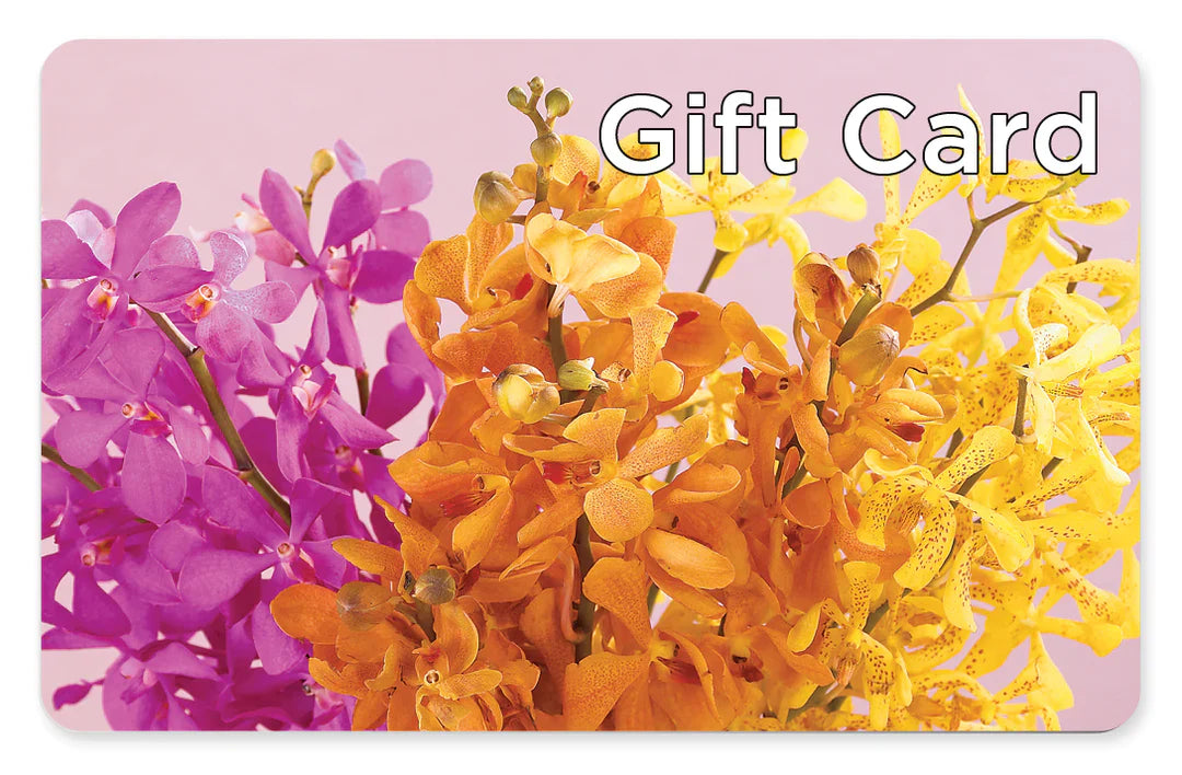 Gift Card – MCKNIGHT'S FLOWERSHOPPE INC., Peterborough ON