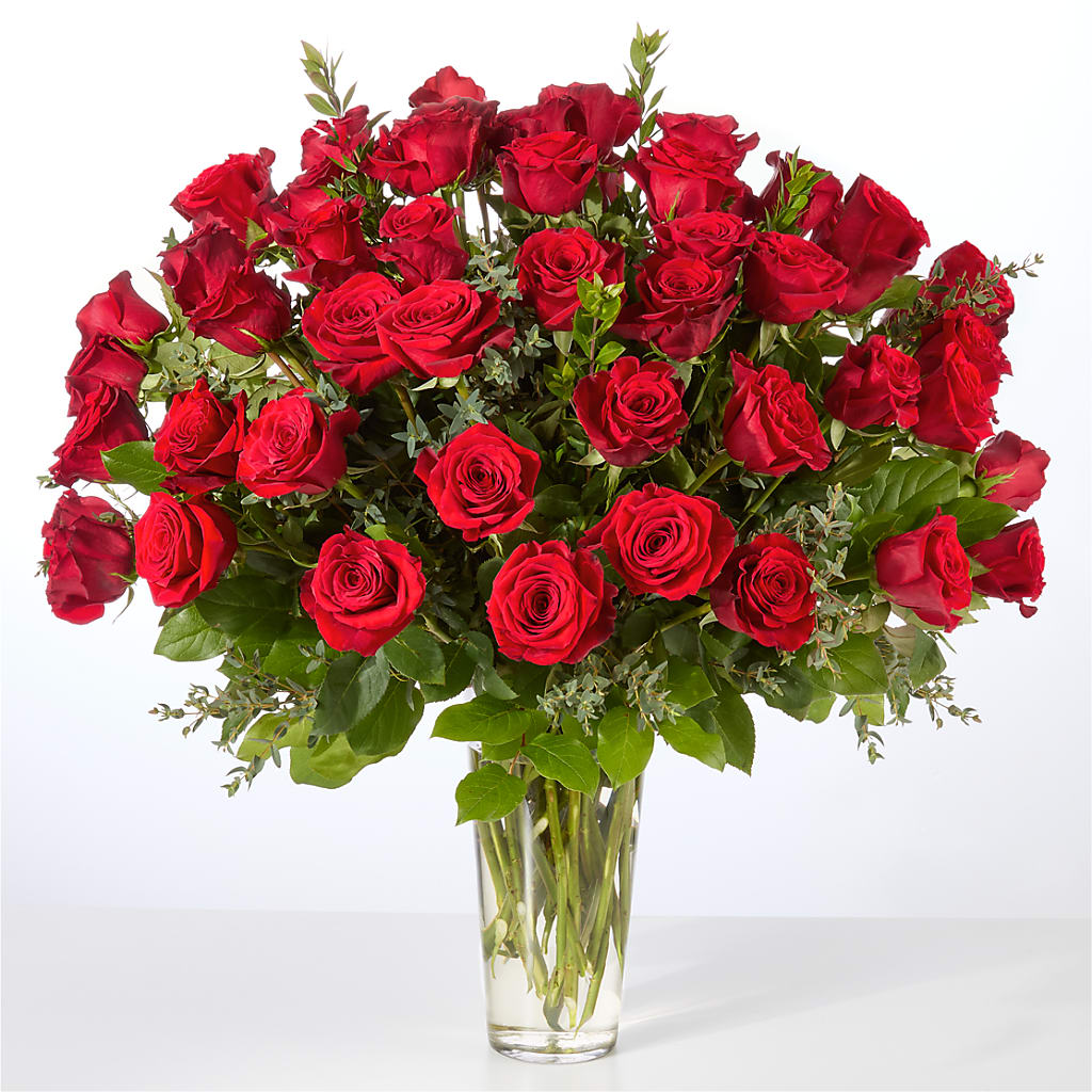 Forever Yours Fifty Stem Red Rose Bouquet – MCKNIGHT'S FLOWERSHOPPE INC., Peterborough ON