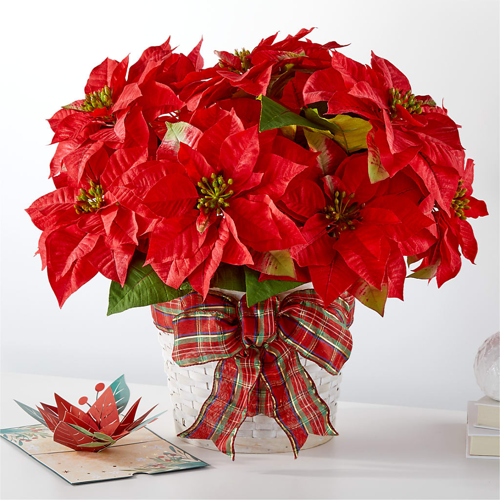 Happiest Holidays Poinsettia and Lovepop Card – MCKNIGHT'S FLOWERSHOPPE INC., Peterborough ON