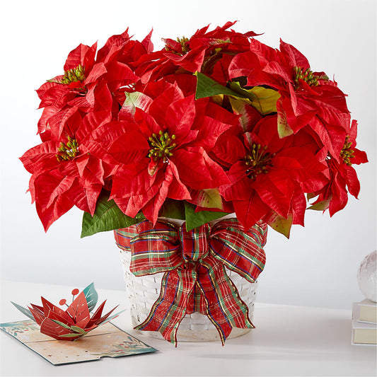 Happiest Holidays Poinsettia and Lovepop Card – MCKNIGHT'S FLOWERSHOPPE INC., Peterborough ON