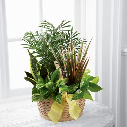 French Garden – MCKNIGHT'S FLOWERSHOPPE INC., Peterborough ON