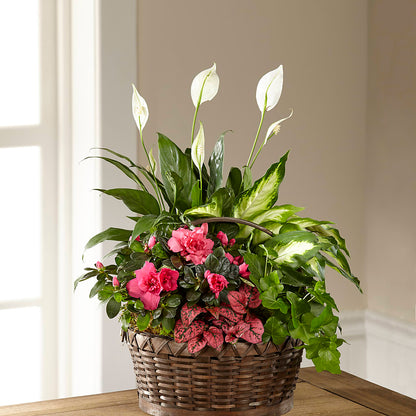 Dream in Pink Dishgarden – MCKNIGHT'S FLOWERSHOPPE INC., Peterborough ON