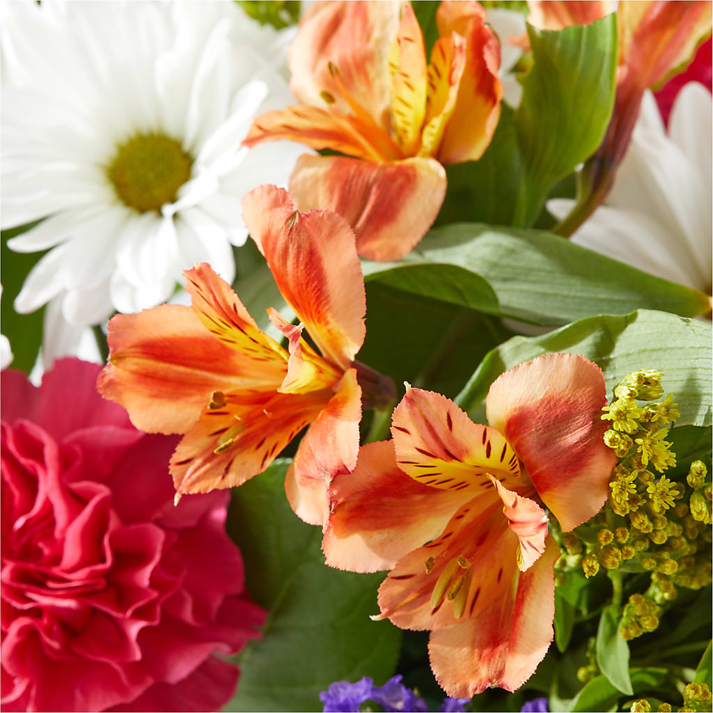 Oopsie Daisy Box Bouquet – MCKNIGHT'S FLOWERSHOPPE INC., Peterborough ON