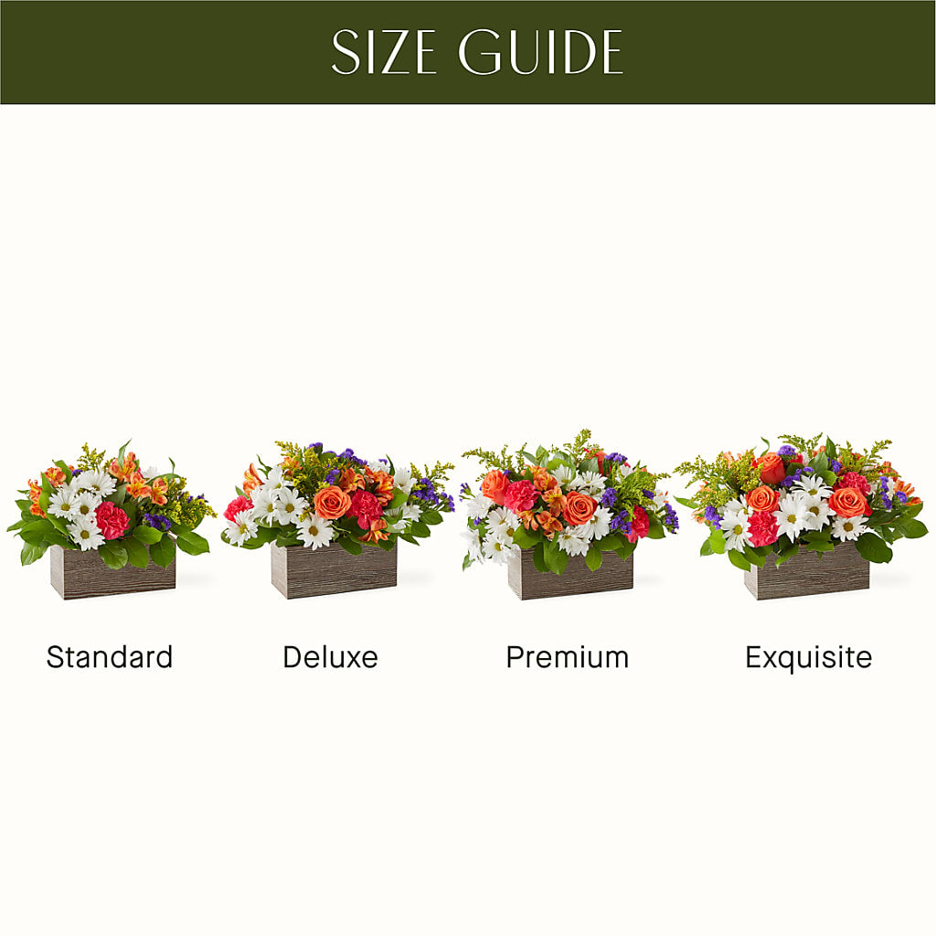 Oopsie Daisy Box Bouquet – MCKNIGHT'S FLOWERSHOPPE INC., Peterborough ON