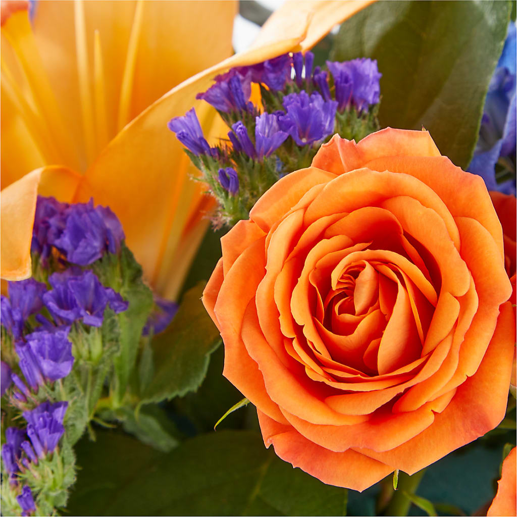Radiant Citrus Box Bouquet – MCKNIGHT'S FLOWERSHOPPE INC., Peterborough ON