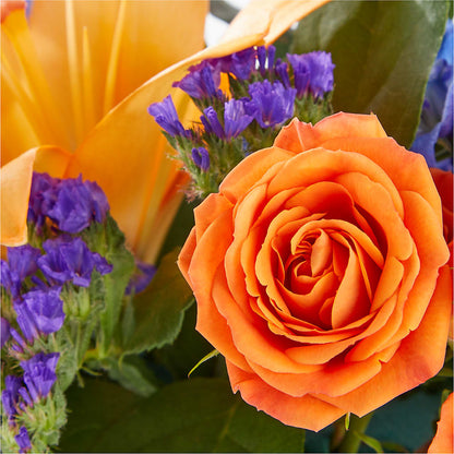 Radiant Citrus Box Bouquet – MCKNIGHT'S FLOWERSHOPPE INC., Peterborough ON