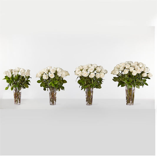 Long Stem White Rose Bouquet – MCKNIGHT'S FLOWERSHOPPE INC., Peterborough ON
