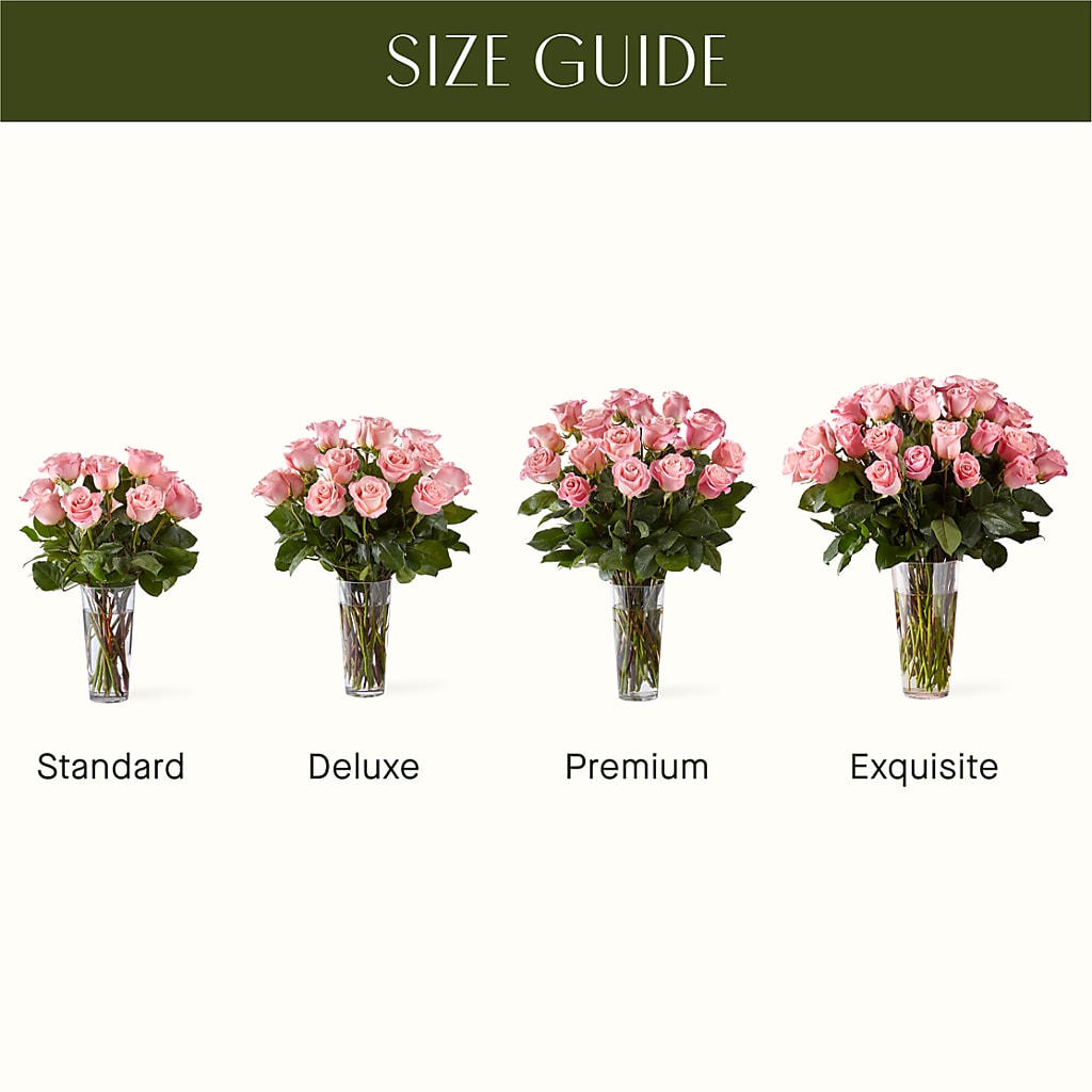 Long Stem Pink Rose Bouquet – MCKNIGHT'S FLOWERSHOPPE INC., Peterborough ON