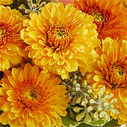 Peachy Pumpkin – MCKNIGHT'S FLOWERSHOPPE INC., Peterborough ON