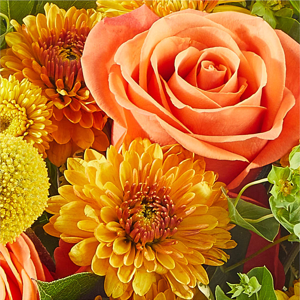 Gourdgeous Pumpkin – MCKNIGHT'S FLOWERSHOPPE INC., Peterborough ON