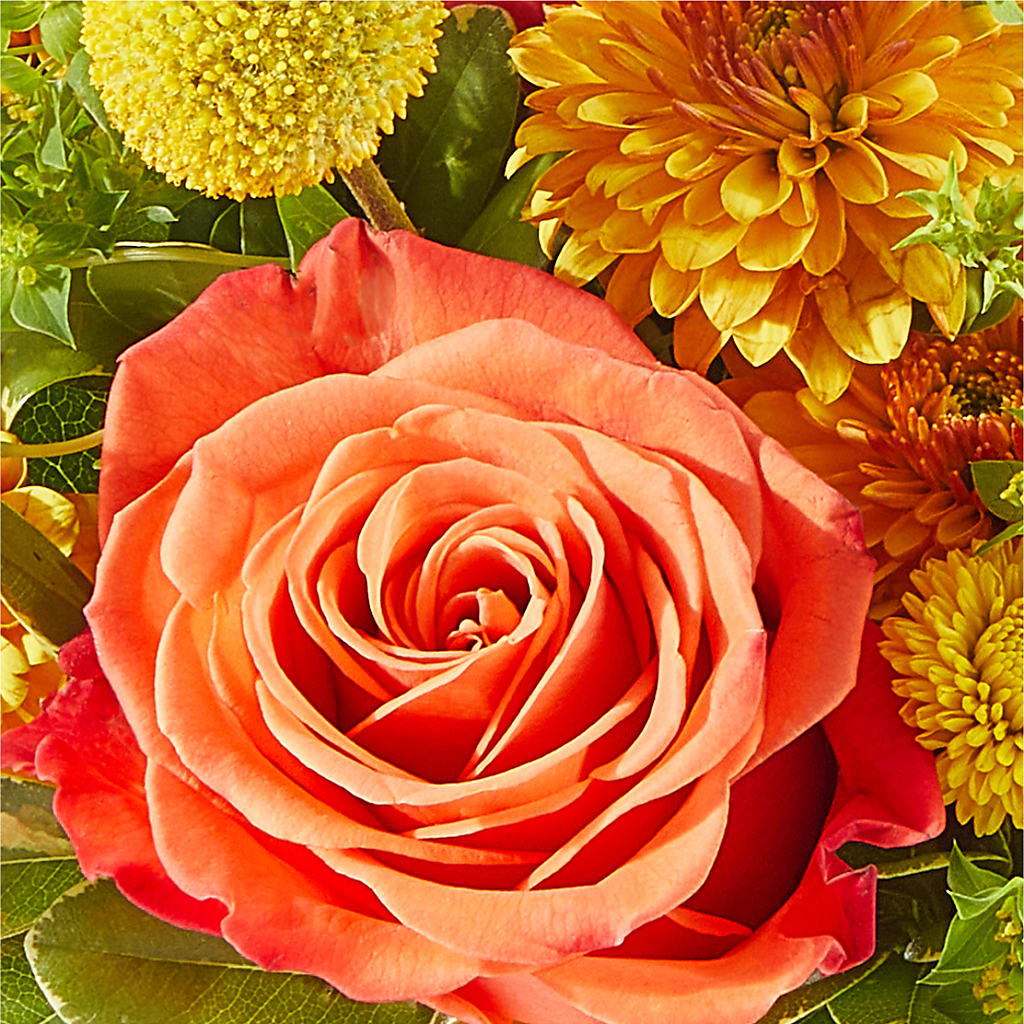 Gourdgeous Pumpkin – MCKNIGHT'S FLOWERSHOPPE INC., Peterborough ON