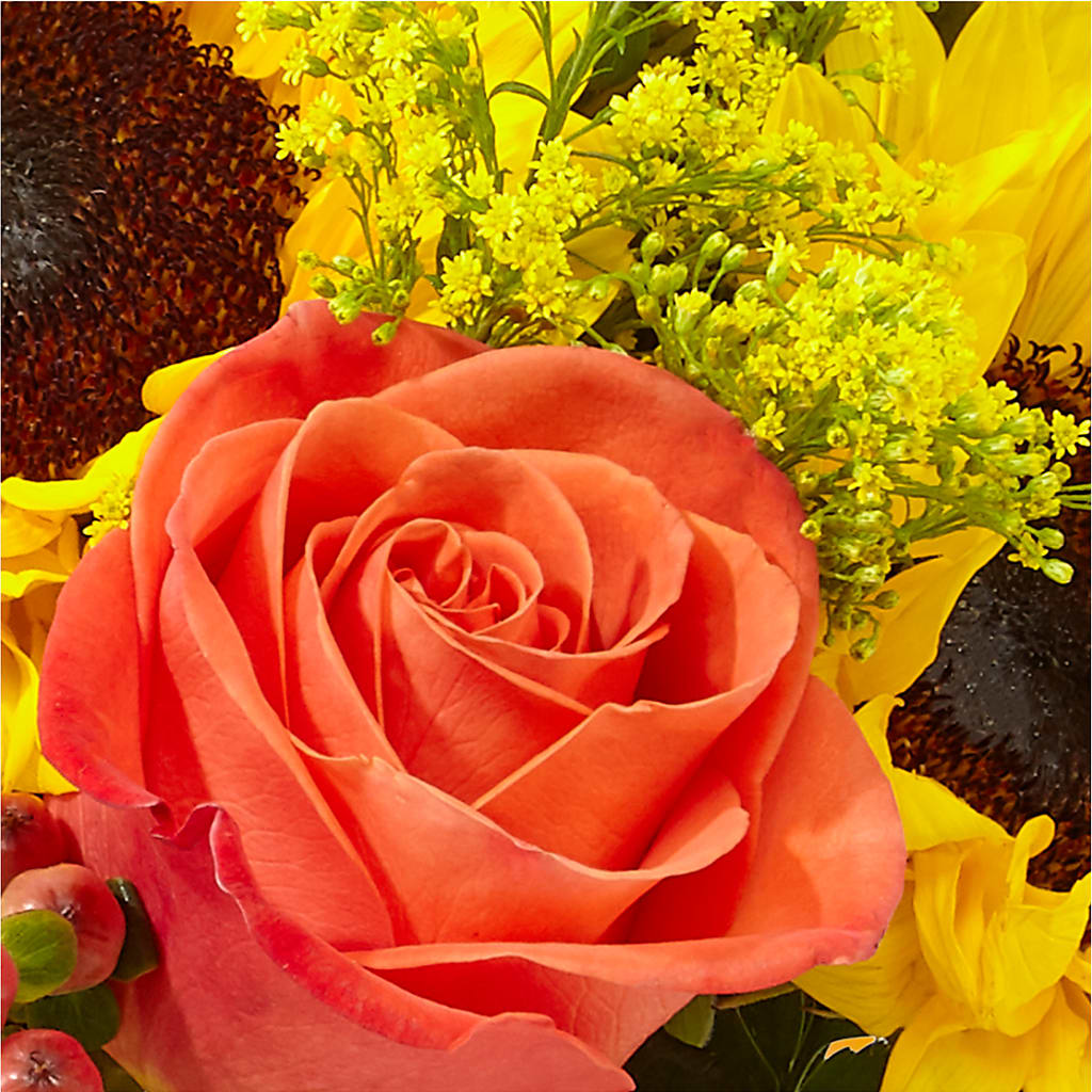 Pick of the Patch Pumpkin Bouquet – MCKNIGHT'S FLOWERSHOPPE INC., Peterborough ON