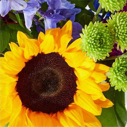 Catching Rays Bouquet – MCKNIGHT'S FLOWERSHOPPE INC., Peterborough ON