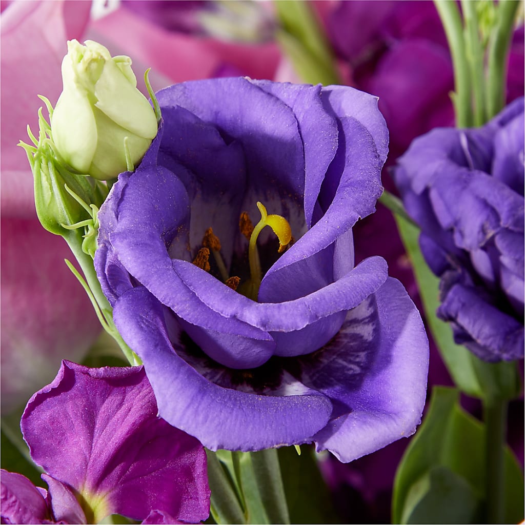 Twilight Glow Bouquet – MCKNIGHT'S FLOWERSHOPPE INC., Peterborough ON