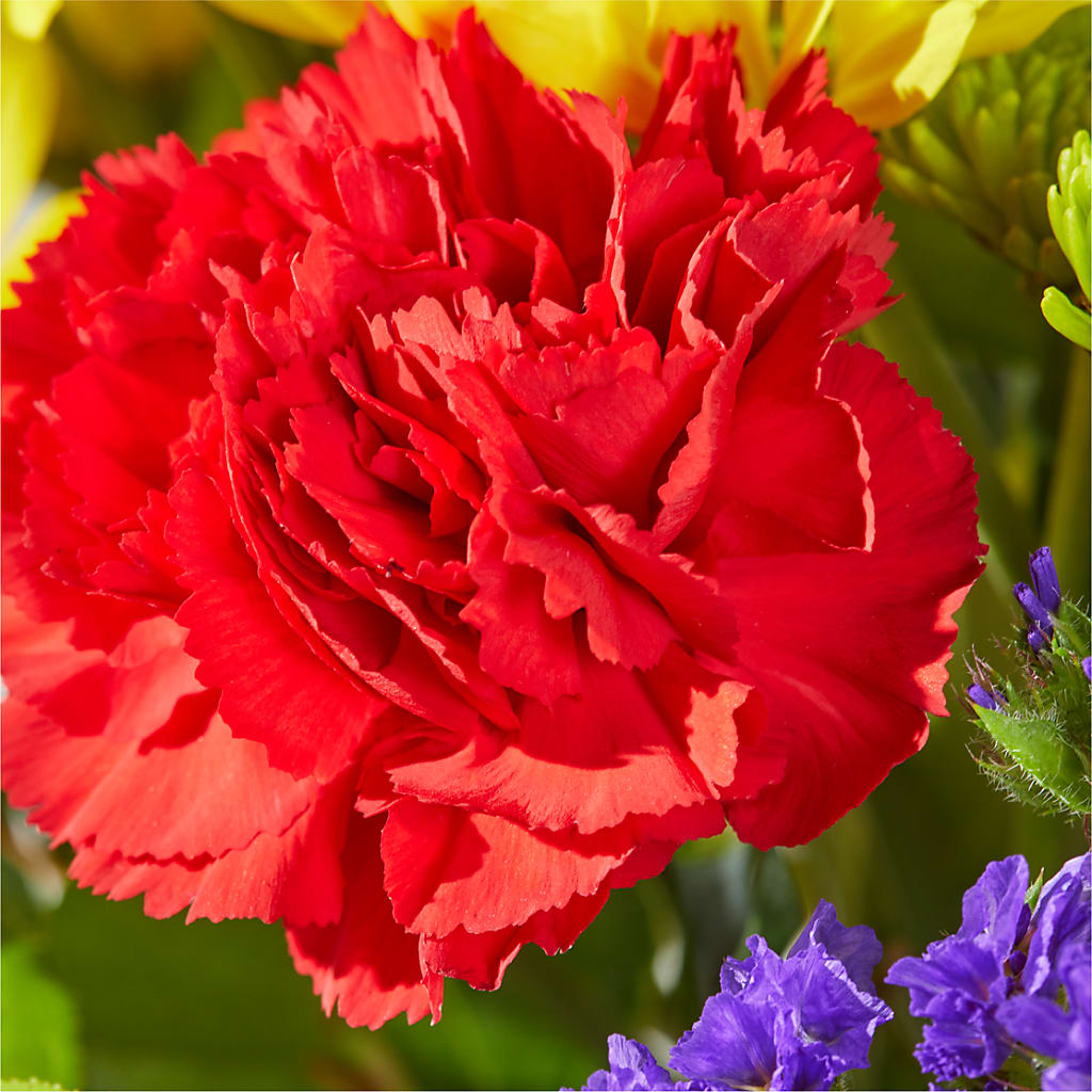 Brighter Days Bouquet – MCKNIGHT'S FLOWERSHOPPE INC., Peterborough ON