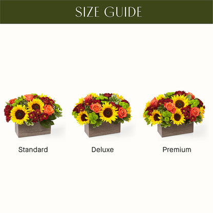 Happy Harvest Garden – MCKNIGHT'S FLOWERSHOPPE INC., Peterborough ON