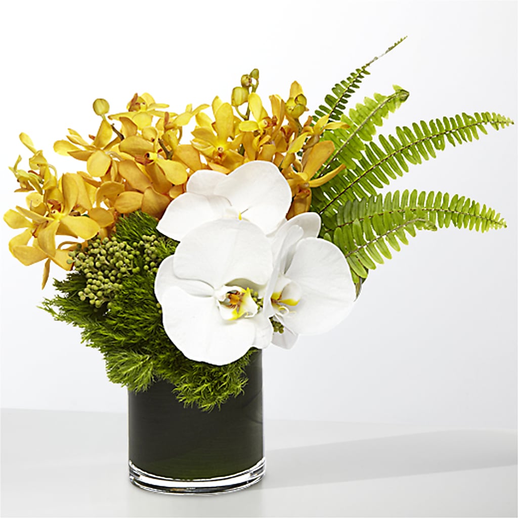 The Tropics – MCKNIGHT'S FLOWERSHOPPE INC., Peterborough ON
