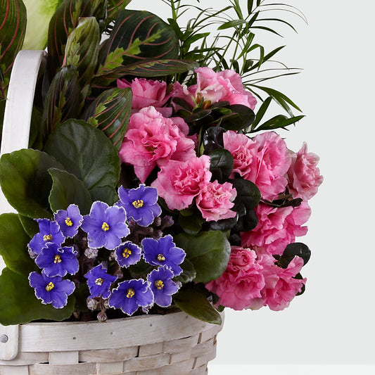 Peaceful Garden Planter – MCKNIGHT'S FLOWERSHOPPE INC., Peterborough ON