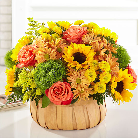 Harvest Sunflower Basket – MCKNIGHT'S FLOWERSHOPPE INC., Peterborough ON
