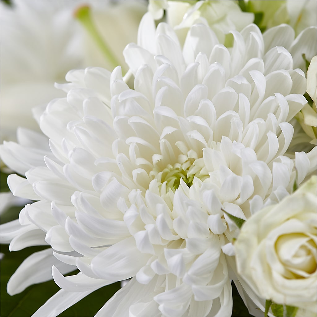 Classic Ivory – A Florist Original – MCKNIGHT'S FLOWERSHOPPE INC., Peterborough ON