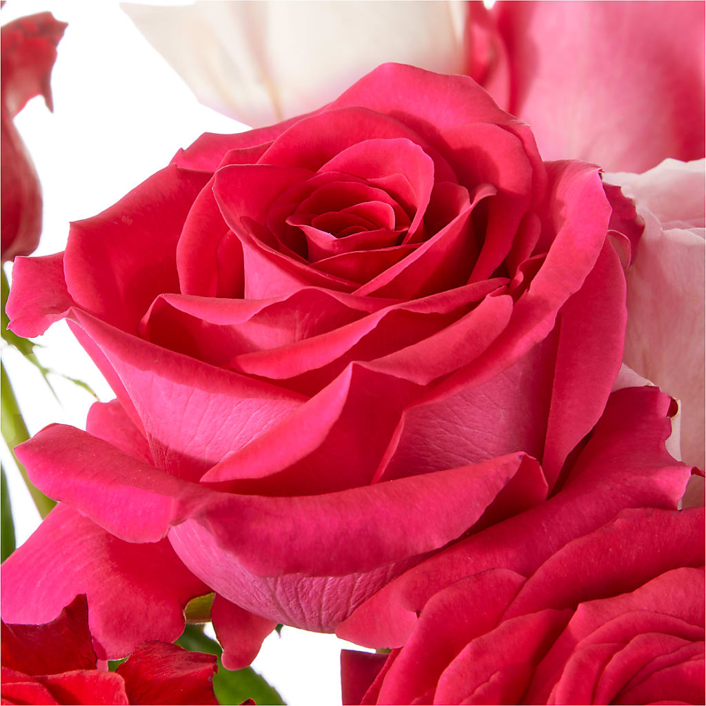 Love Notes Rose Bouquet – MCKNIGHT'S FLOWERSHOPPE INC., Peterborough ON