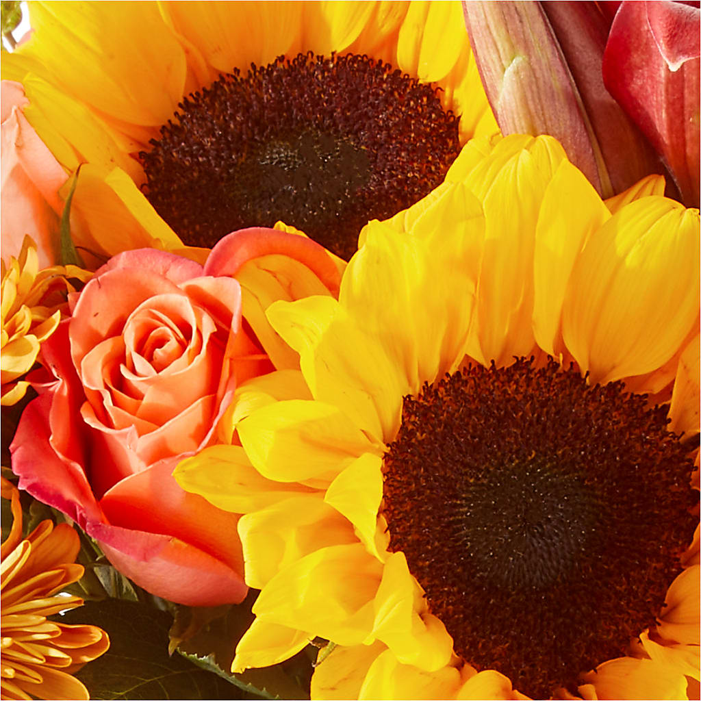 Acorn Lane Bouquet – MCKNIGHT'S FLOWERSHOPPE INC., Peterborough ON