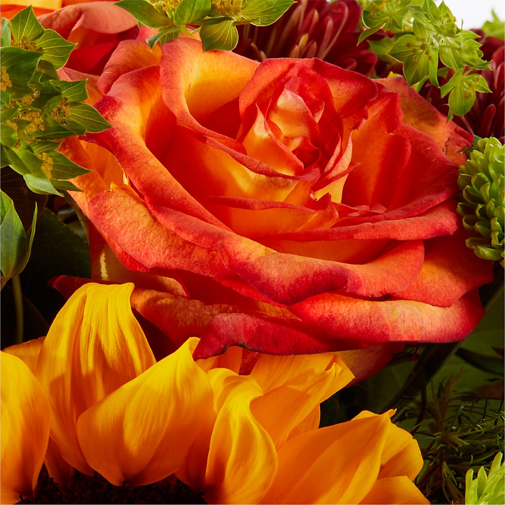 Harvest Festival Bouquet – MCKNIGHT'S FLOWERSHOPPE INC., Peterborough ON