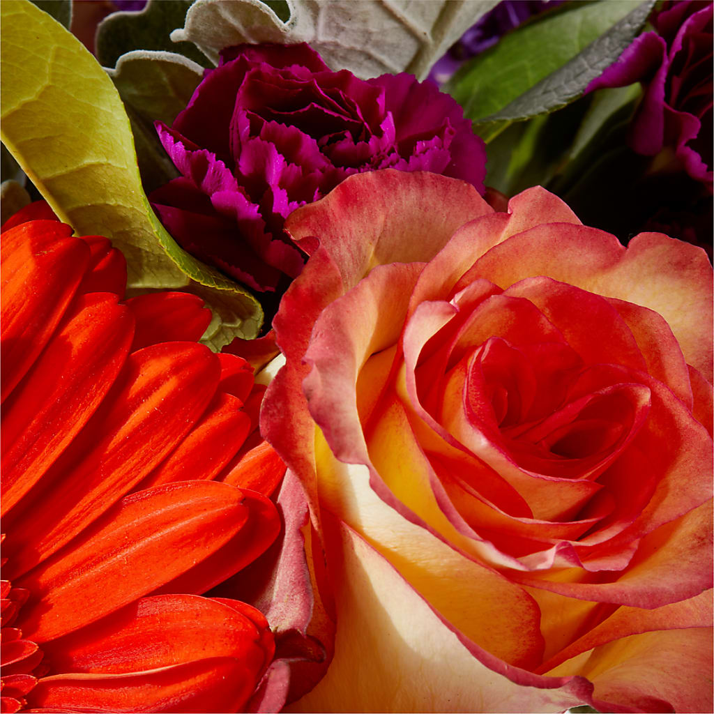 Sangria Bouquet – MCKNIGHT'S FLOWERSHOPPE INC., Peterborough ON