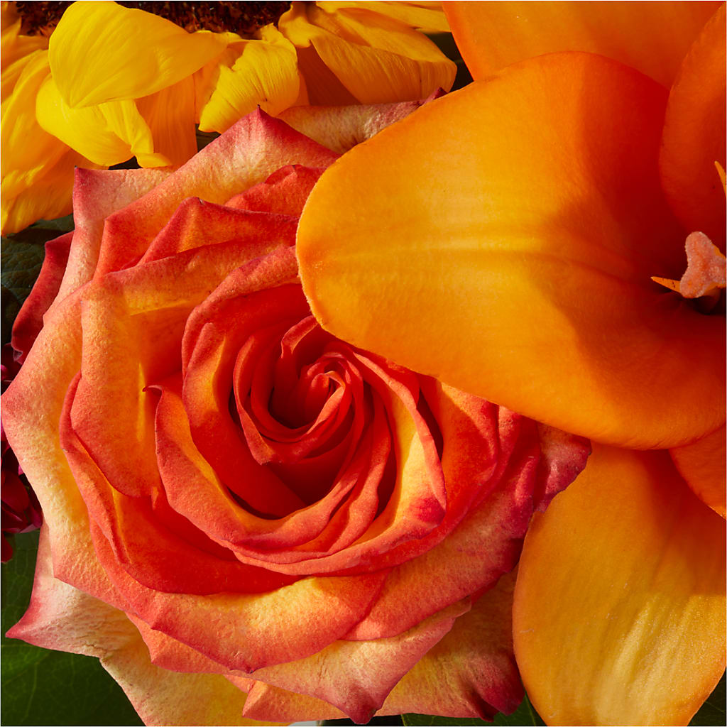 Grateful Centerpiece – MCKNIGHT'S FLOWERSHOPPE INC., Peterborough ON