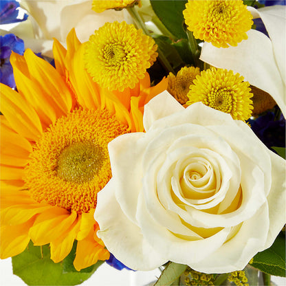 Stargazing Bouquet – MCKNIGHT'S FLOWERSHOPPE INC., Peterborough ON