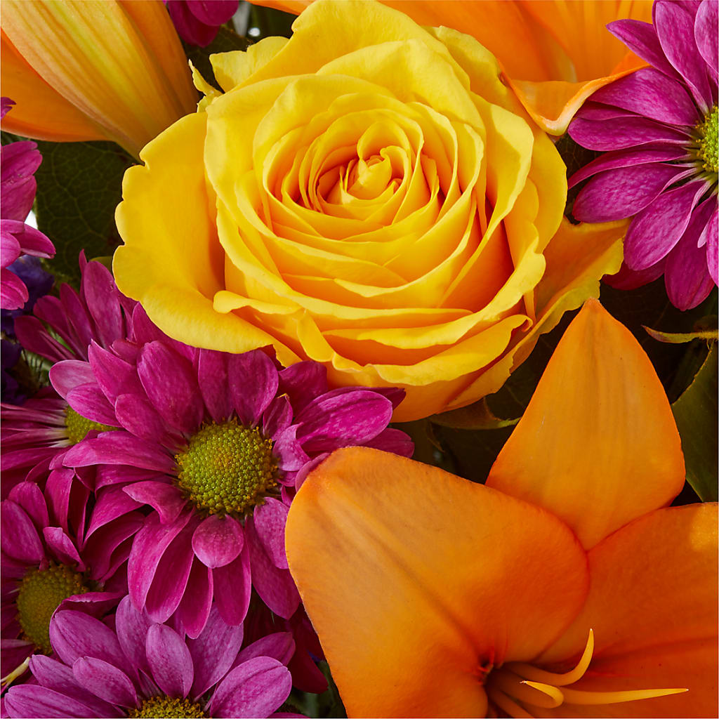 Colorful Visions Bouquet – MCKNIGHT'S FLOWERSHOPPE INC., Peterborough ON