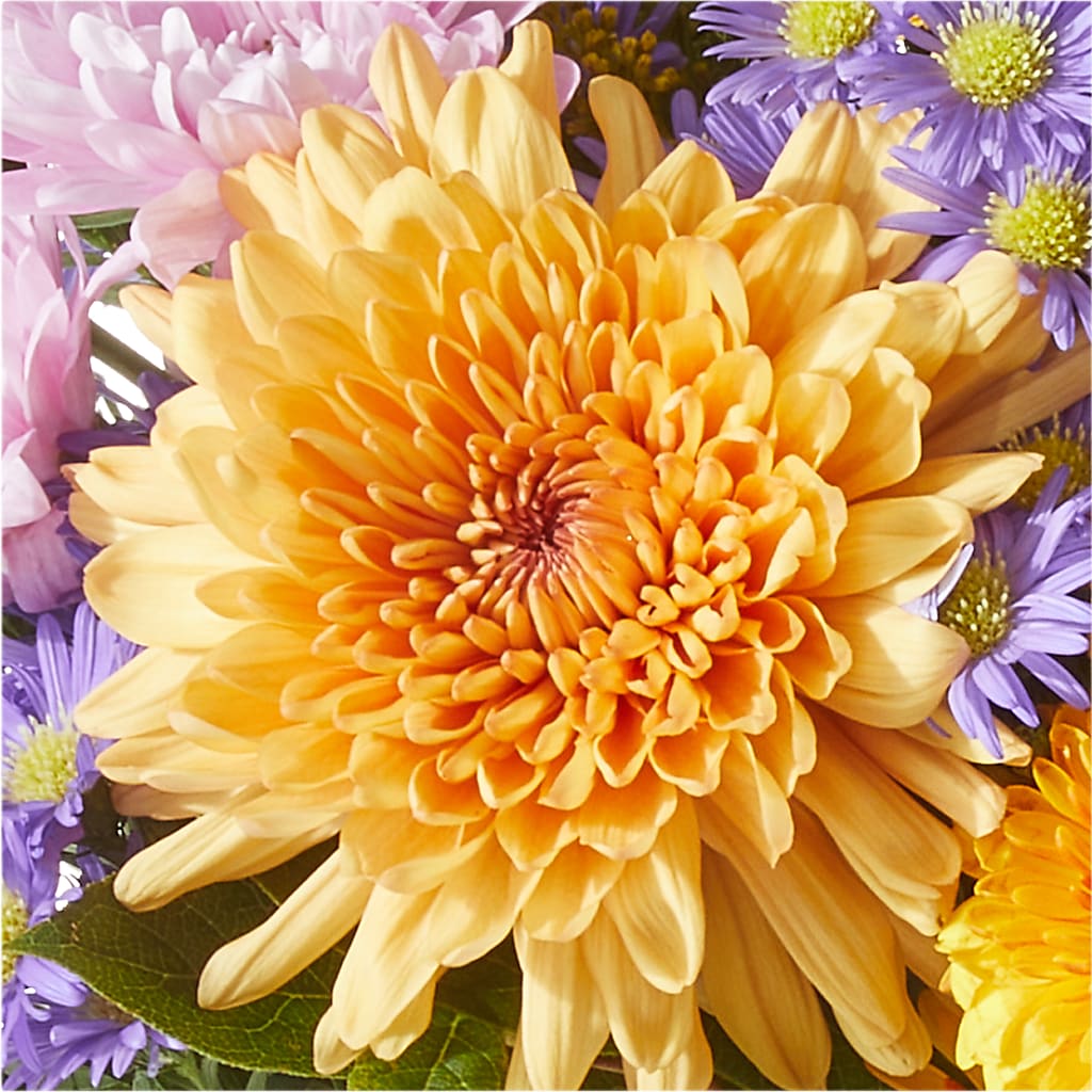 Countryside Bouquet – MCKNIGHT'S FLOWERSHOPPE INC., Peterborough ON