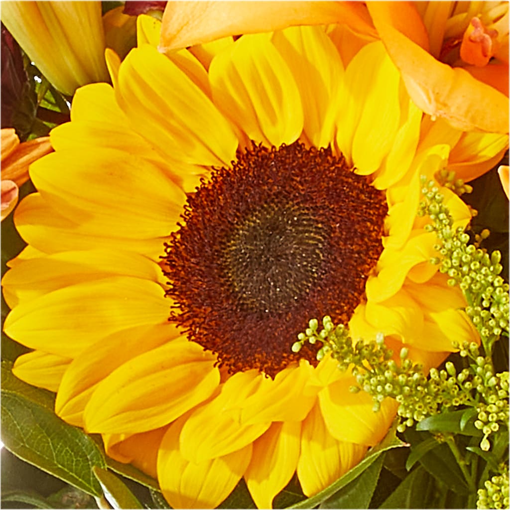Seasons Change Bouquet – MCKNIGHT'S FLOWERSHOPPE INC., Peterborough ON