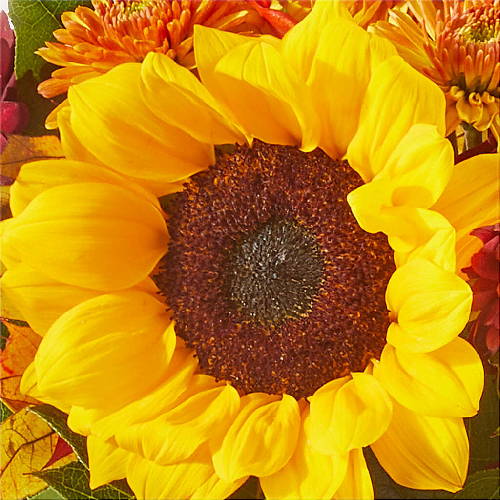 Sunny Side Bouquet – MCKNIGHT'S FLOWERSHOPPE INC., Peterborough ON