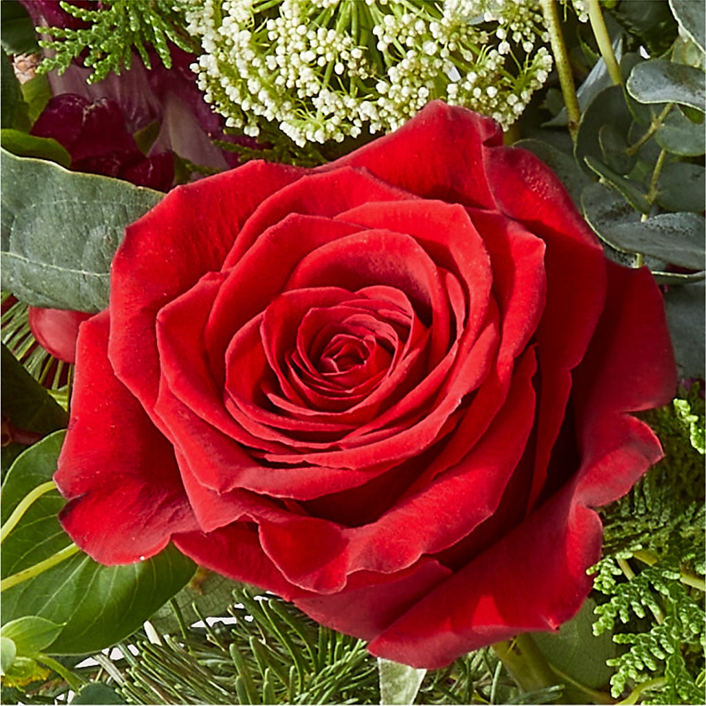 Cranberry Fizz Bouquet – MCKNIGHT'S FLOWERSHOPPE INC., Peterborough ON