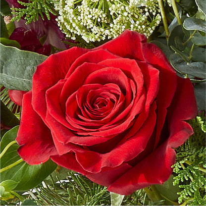Cranberry Fizz Bouquet – MCKNIGHT'S FLOWERSHOPPE INC., Peterborough ON