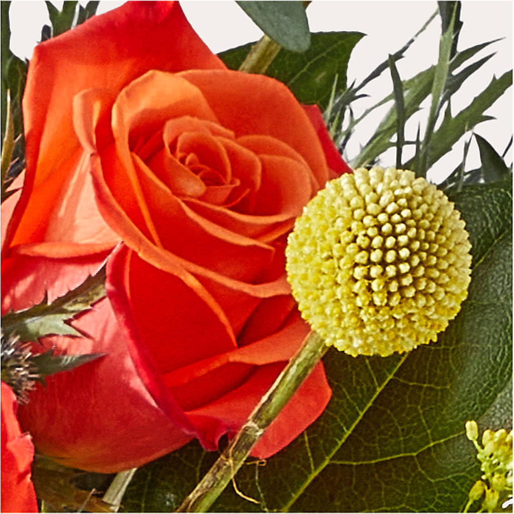 Disco Bouquet – MCKNIGHT'S FLOWERSHOPPE INC., Peterborough ON