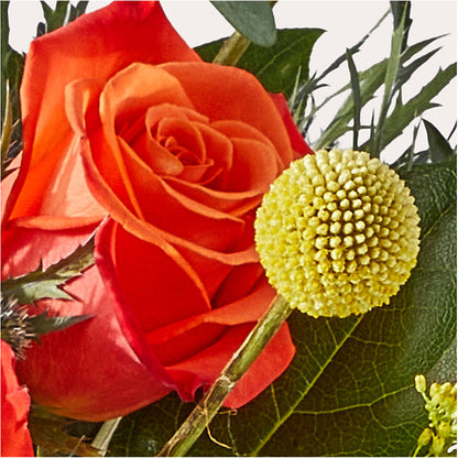 Disco Bouquet – MCKNIGHT'S FLOWERSHOPPE INC., Peterborough ON