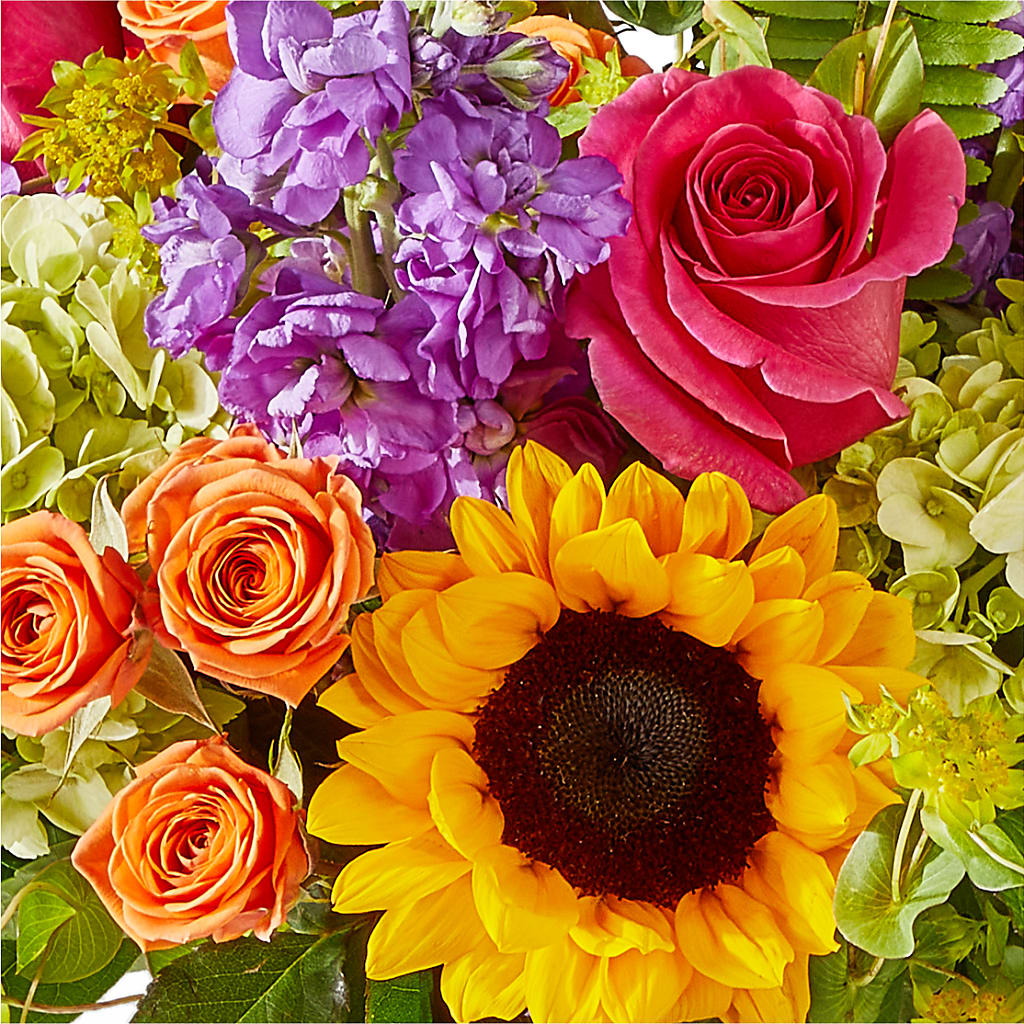Vibrant Greetings Bouquet – MCKNIGHT'S FLOWERSHOPPE INC., Peterborough ON