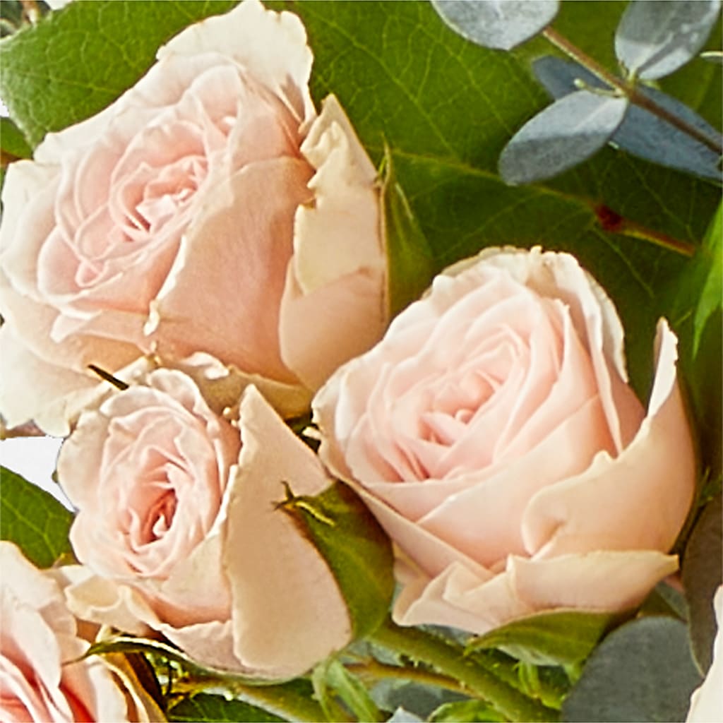 Inspired Bouquet – MCKNIGHT'S FLOWERSHOPPE INC., Peterborough ON