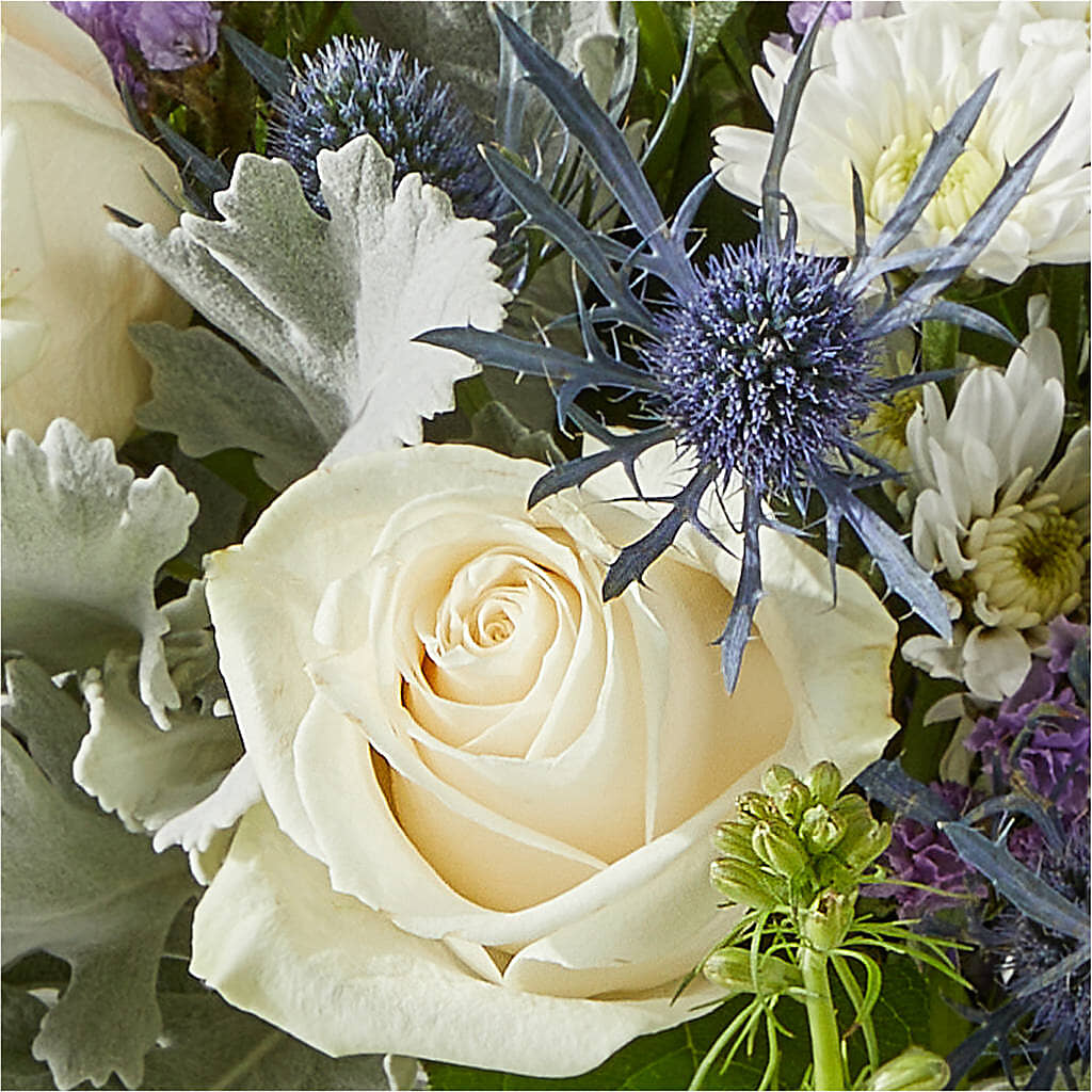 Shooting Star Bouquet – MCKNIGHT'S FLOWERSHOPPE INC., Peterborough ON