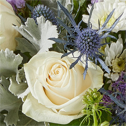 Shooting Star Bouquet – MCKNIGHT'S FLOWERSHOPPE INC., Peterborough ON