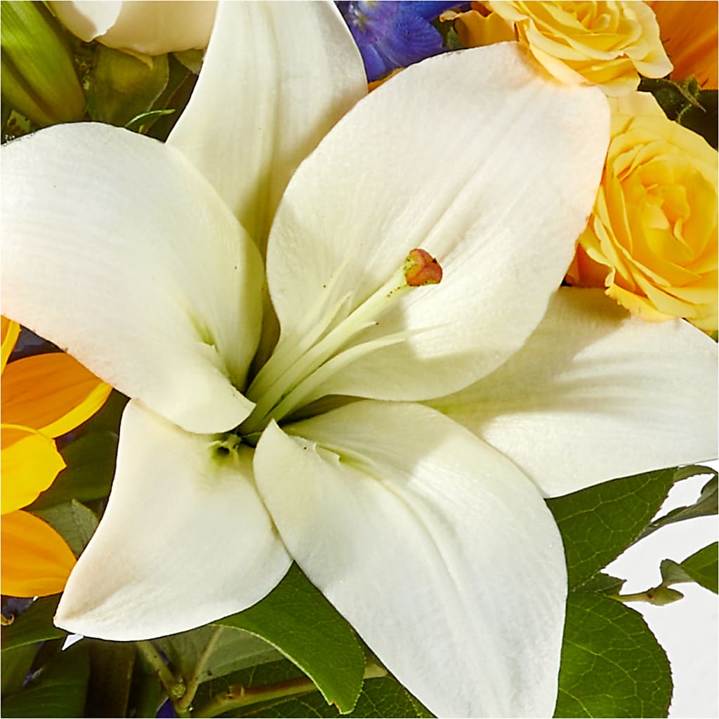 Wonderfully Sunny Bouquet – MCKNIGHT'S FLOWERSHOPPE INC., Peterborough ON
